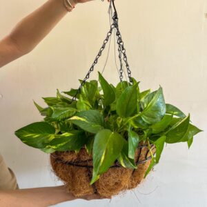 Teléfono colgante con base