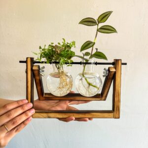 Kit Cultivo