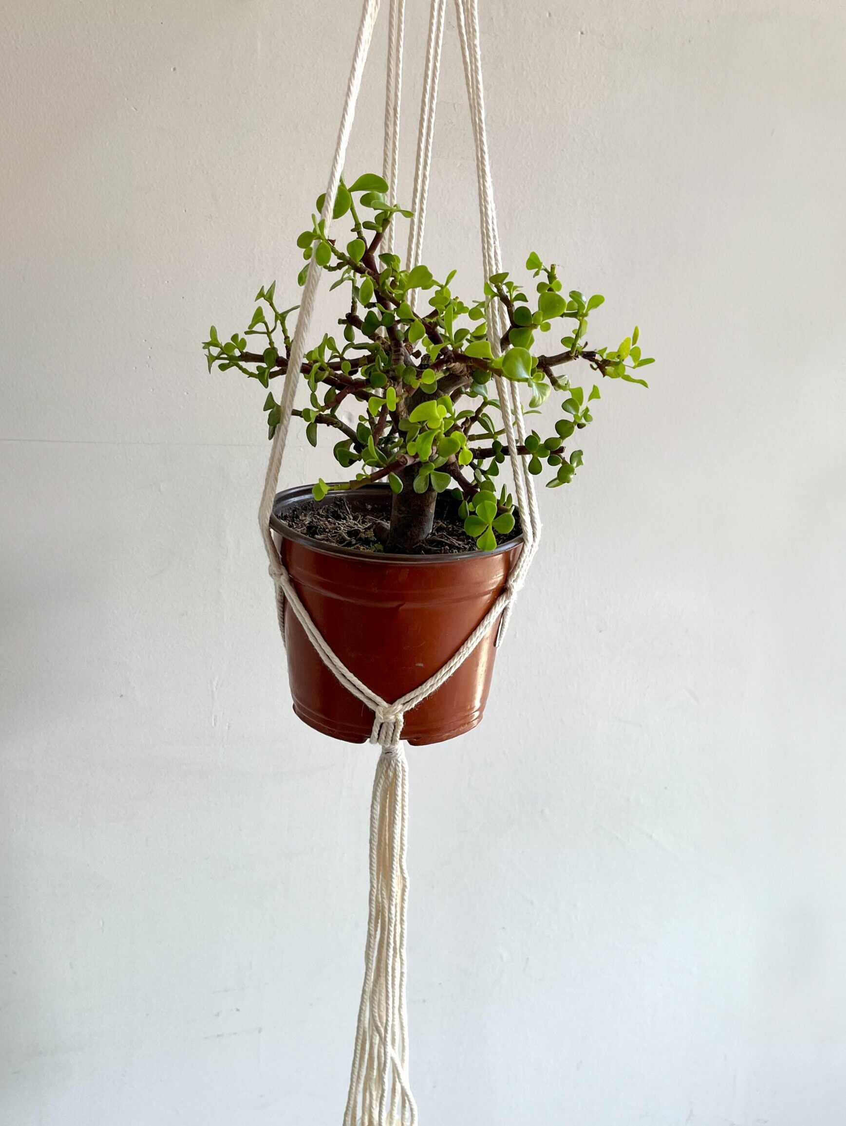 Macetero macramé